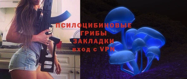 марки lsd Белокуриха