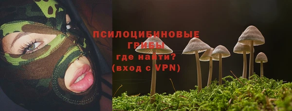 меф Нягань