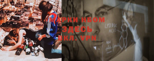 PSILOCYBIN Беломорск